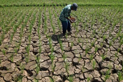 Berita Foto : Kemarau Mulai Berdampak pada Lahan Pertanian di Ciamis