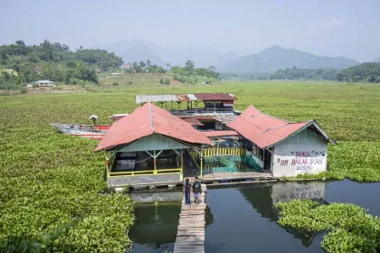 Berita Foto : Hamparan Eceng Gondok Tutupi Sungai Citarum di Cililin