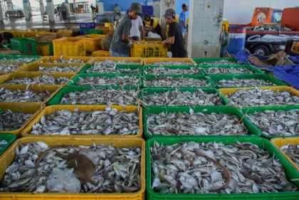 Berita Foto : Proyeksi produksi ikan nasional