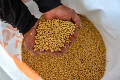 Berita Foto : Subsidi harga kedelai bagi pelaku usaha tahu tempe