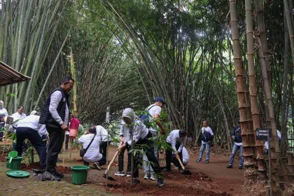 Gerakan Menanam Bambu Nusantara 2026 Dukung Ketahanan Iklim Nasional