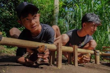 Berita Foto : Karapan Marmot, Tradisi Unik yang Tetap Lestari di Lumajang