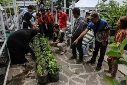 Pelatihan gratis teknik pertanian perkotaan di Semarang
