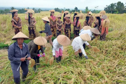 Berita Foto : Pembukaan Jatiluwih Festival 2026 Warnai Pariwisata Bali
