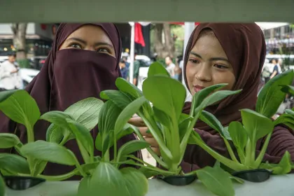 Berita Foto : Bazar urban farming Jakarta Selatan