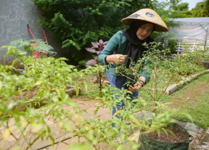 Berita Foto : Pemanfaatan lahan kosong fasos fasum untuk ketahanan pangan