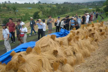 Peserta Forum Internasional dari 16 Negara Tinjau Kearifan Lokal Subak di Jatiluwih
