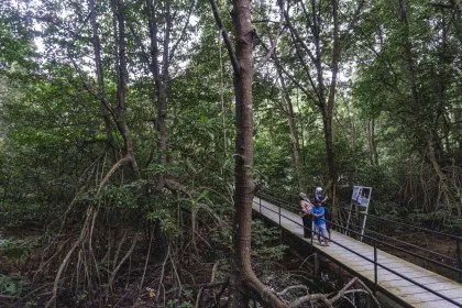 Berita Foto : Edukasi Keanekaragaman Hayati di Kawasan Mangrove