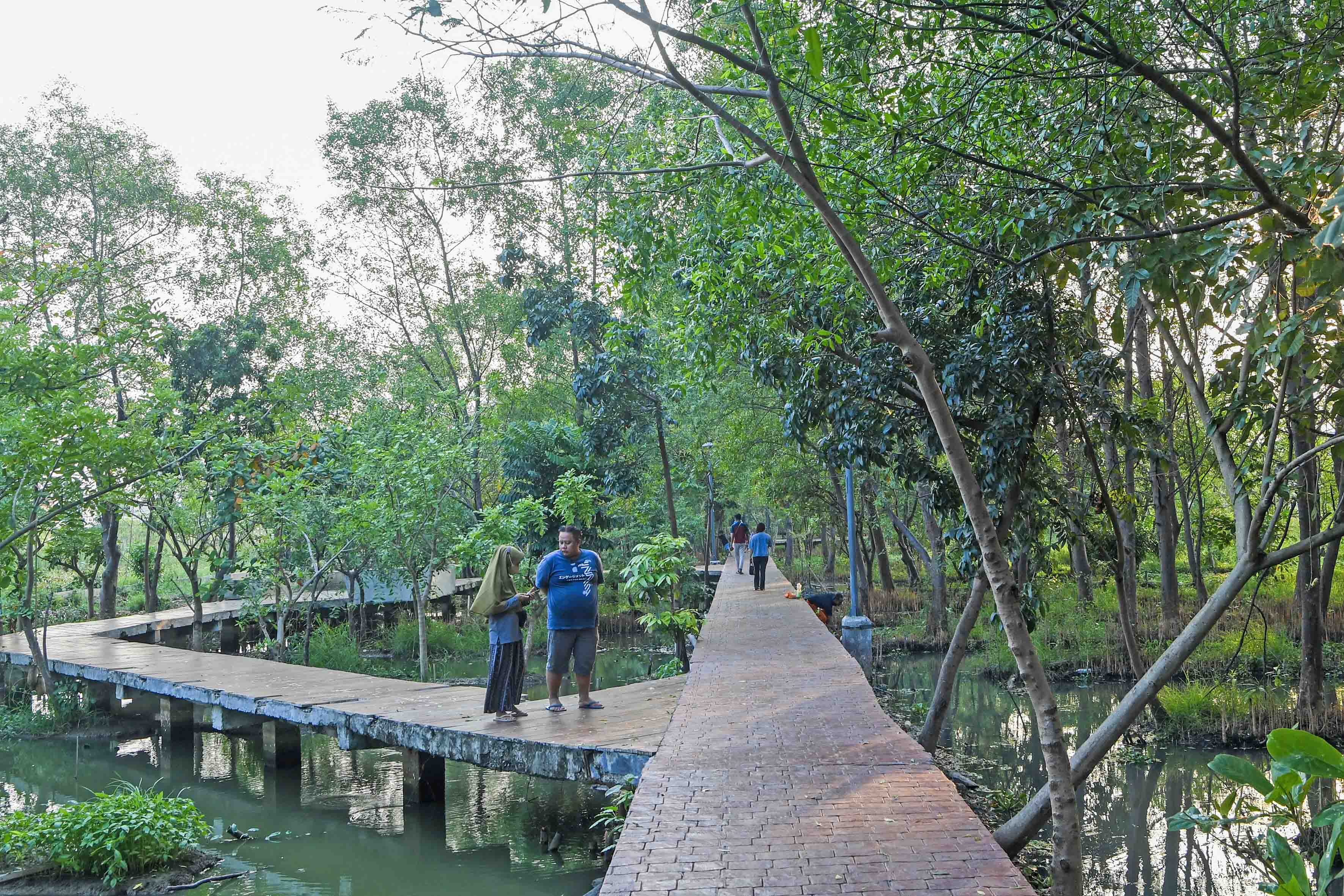 Hutan Kota Rorotan