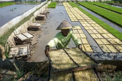 Berita Foto : Kementan Percepat Gerakan Tanam Oplah dan CSR di 25 Provinsi untuk Perkuat Ketahanan Pangan