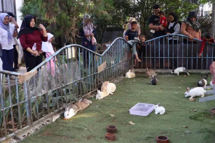 Berita Foto : Liburan di kebun binatang mini Taman Situ Cibinong Plaza Bogor