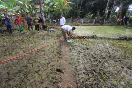 Berita Foto : Pemberdayaan Petani Padi Melalui Pemanfaatan Lahan Kritis