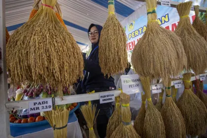 Berita Foto : 31 Kelompok KTNA Tampilkan Produk Unggulan dalam Pameran Pertanian di Indramayu