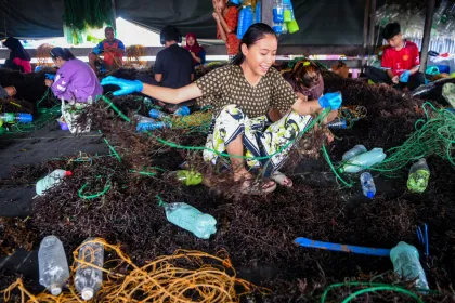 Berita Foto : Produksi rumput laut di Nunukan