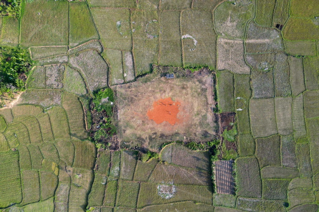 Foto: Sawah terdampak kekeringan di Banten