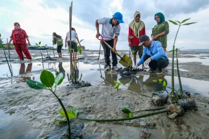 Berita Foto : Hari Mangrove Sedunia 2026, DLHK Kendari Tanam Ratusan Bibit Mangrove Jaga Pesisir