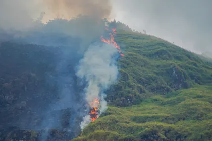 Mitigasi kebakaran hutan di kawasan wisata Bromo