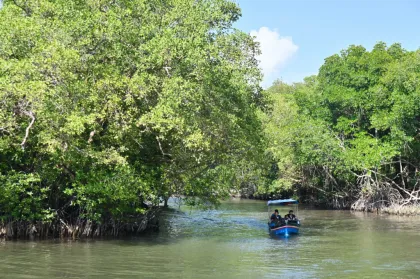 Berita Foto : Peringatan Hari Mangrove Sedunia 2026