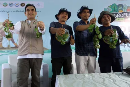 Berita Foto : Program M4CR Targetkan Pemulihan 32.634 Hektare Mangrove Hingga 2027