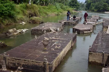 Berita Foto : KKP Pulihkan 109,6 Hektare Kolam Ikan Air Tawar Rusak Pascabencana di Sumbar