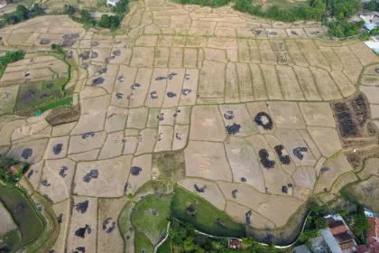 Sawah terdampak kekeringan di Kabupaten Bekasi