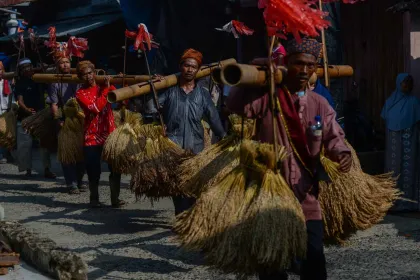Berita Foto : Tradisi Ngarengkong Kasepuhan Citorek, Ritual Mengangkut Padi ke Leuit sebagai Wujud Syukur Panen