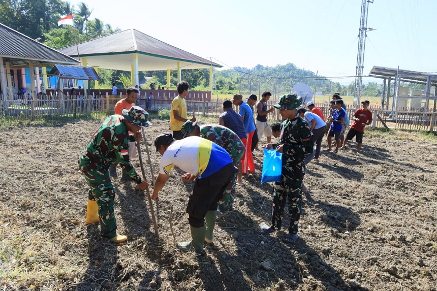 Satgas TMMD Kodim 1505/Tidore Wujudkan Ketahanan Pangan Lewat Penanaman Jagung dan Kacang Tanah.