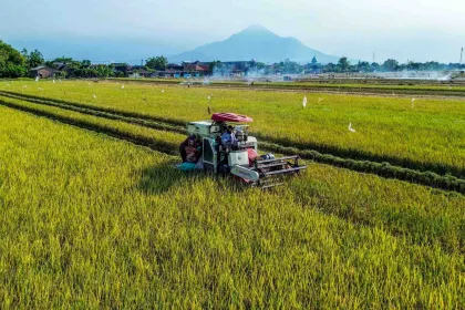 Berita Foto : Luas panen padi Januari-September 2026 meningkat