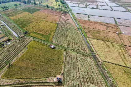 Berita Foto : Lahan Rob Kembali Produktif, Pemkab Batang Panen Perdana Padi Biosalin Dukung Swasembada Pangan