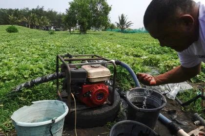 Berita Foto : Upaya pemulihan ekosistem pesisir selatan
