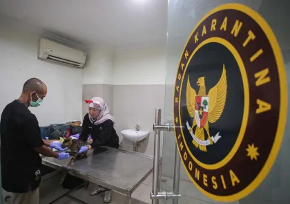 Berita Foto : Vaksinasi Rabies Gratis untuk Hewan Peliharaan Digelar di Balai Karantina