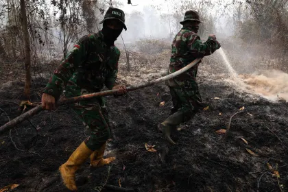 Berita Foto : Karhutla di Kalbar Capai 38 Ribu Hektare, BNPB Waspadai Ancaman Bencana Asap