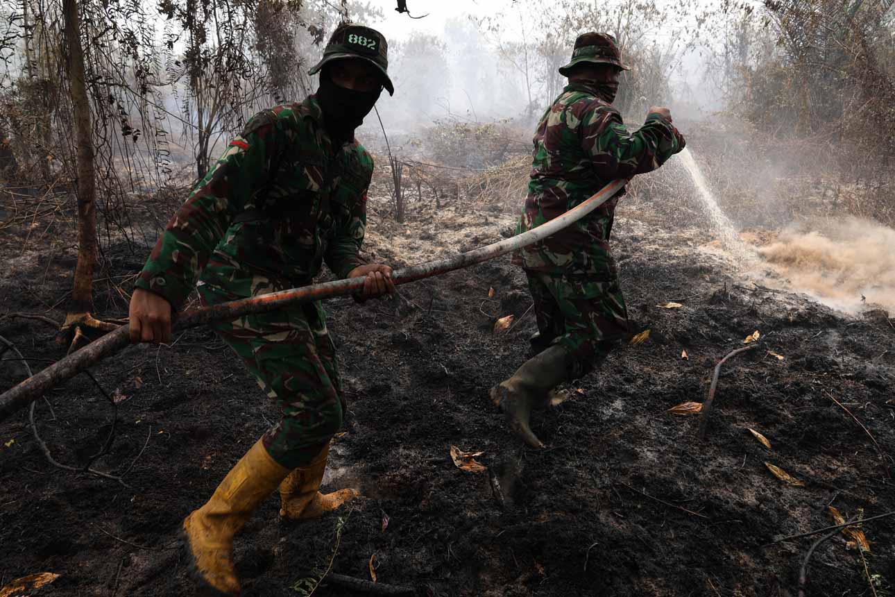 Berita Foto : Karhutla di Kalbar Capai 38 Ribu Hektare, BNPB Waspadai Ancaman Bencana Asap