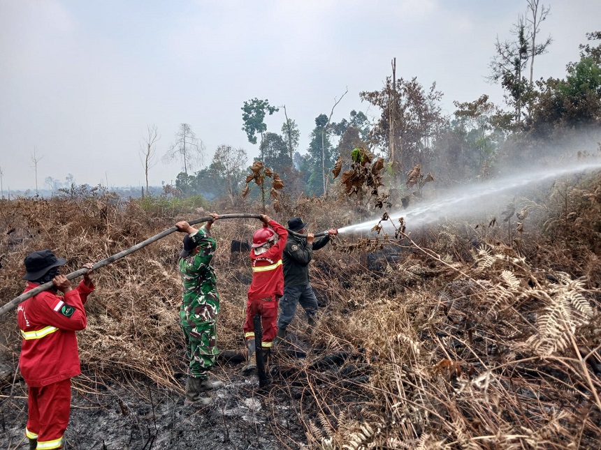Berita Foto : TNI Siagakan 73.766 Personel Tangani Karhutla di Berbagai Wilayah.