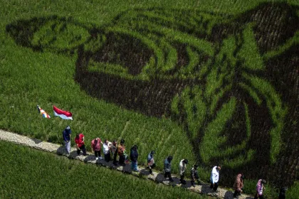 Pari Corek Bergambar Sang Buddha Hiasi Persawahan Semarang, Padukan Seni dan Kearifan Lokal