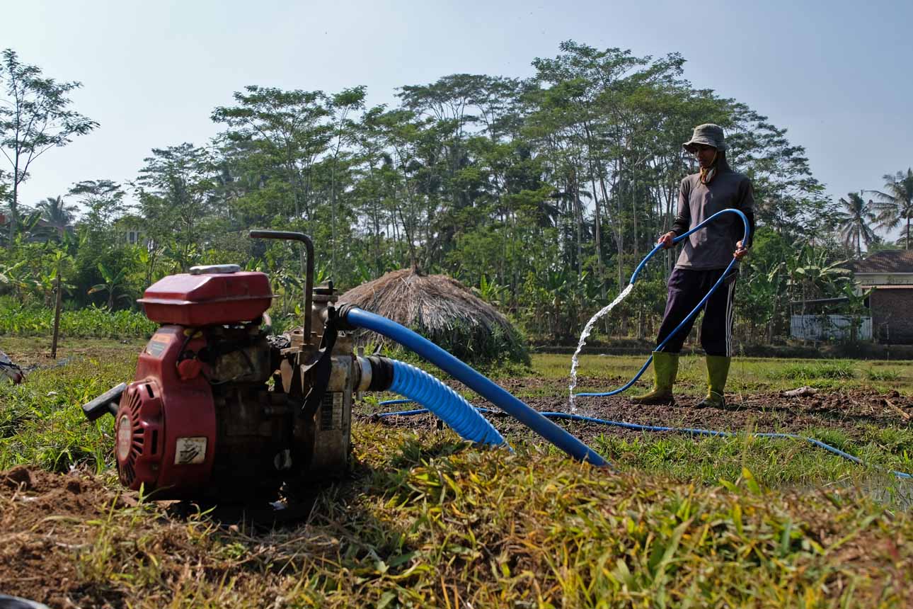 Foto: Air Sulit Didapat, Petani Keluarkan Biaya Ekstra untuk Pengairan