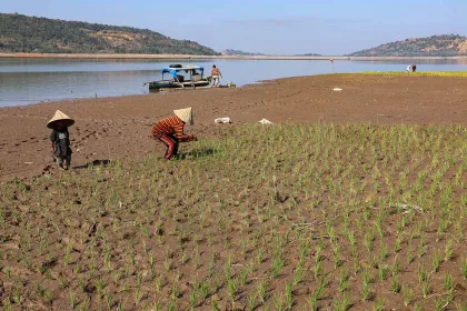 Waduk Bili-Bili Dimaksimalkan sebagai Lahan Pertanian