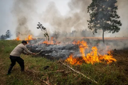 Berita Foto : Luas lahan terdampak karhutla di Kalimantan Selatan