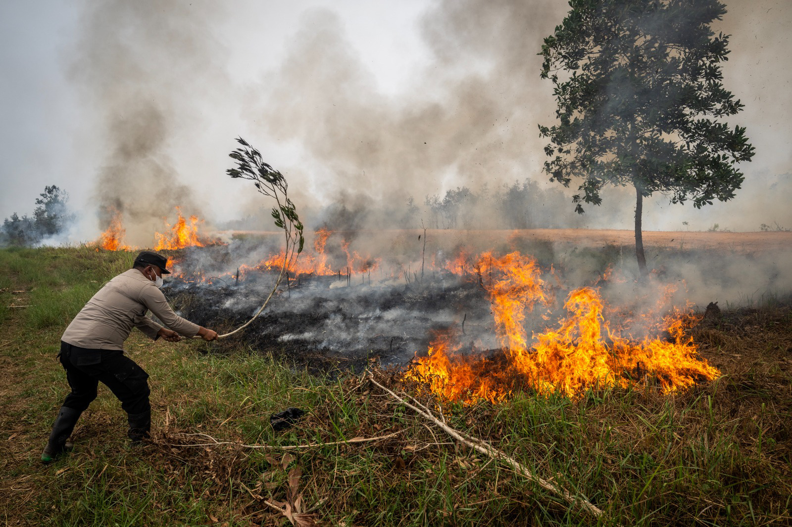 Foto: Luas lahan terdampak karhutla di Kalimantan Selatan