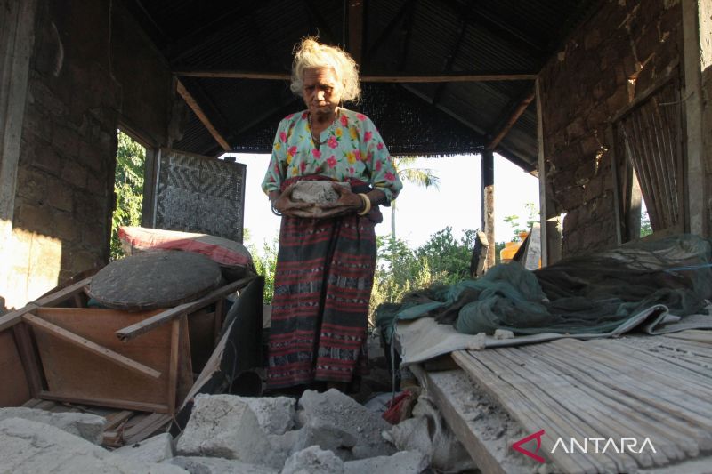BMKG Catat 13.156 Gempa Susulan Guncang NTT, Warga Dimint...