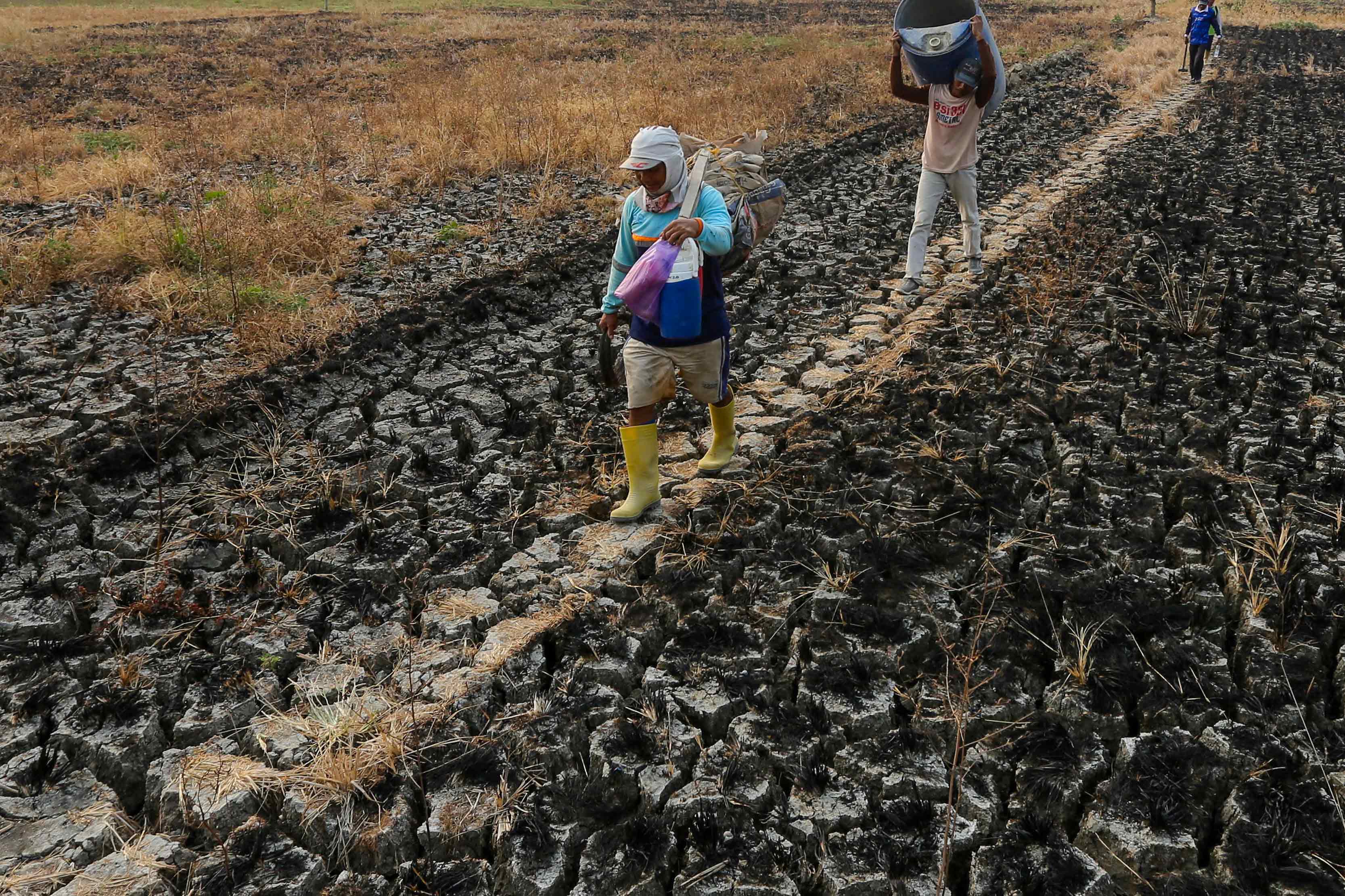 Foto: BMKG Sebut 25 Daerah Jateng Berstatus Awas Kekeringan