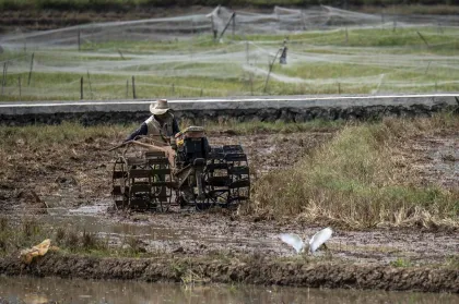 Berita Foto : Realisasi Pembiayaan untuk Sektor Pertanian dan Perikanan