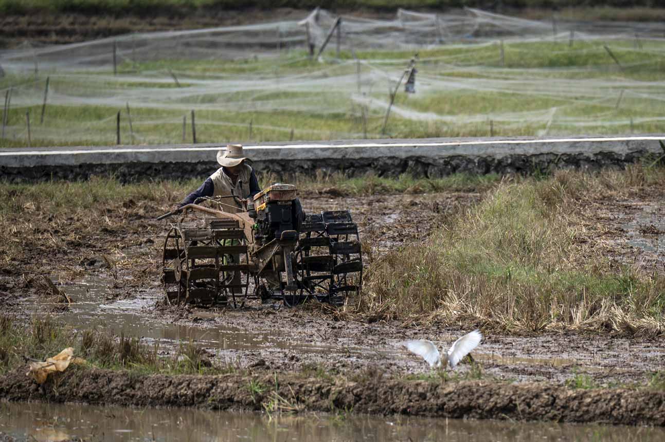 Foto: Realisasi Pembiayaan untuk Sektor Pertanian dan Perikanan