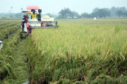 Kementan alokasikan AUTP 100 ribu hektare lahan pertanian