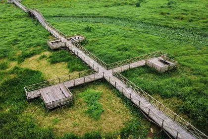 Berita Foto : Hamparan Gulma Penuhi Waduk Manggar