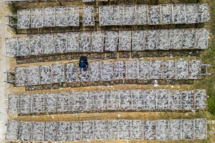 KNMP Dorong Hasil Tangkapan Nelayan Masuk Rantai Industri Global
