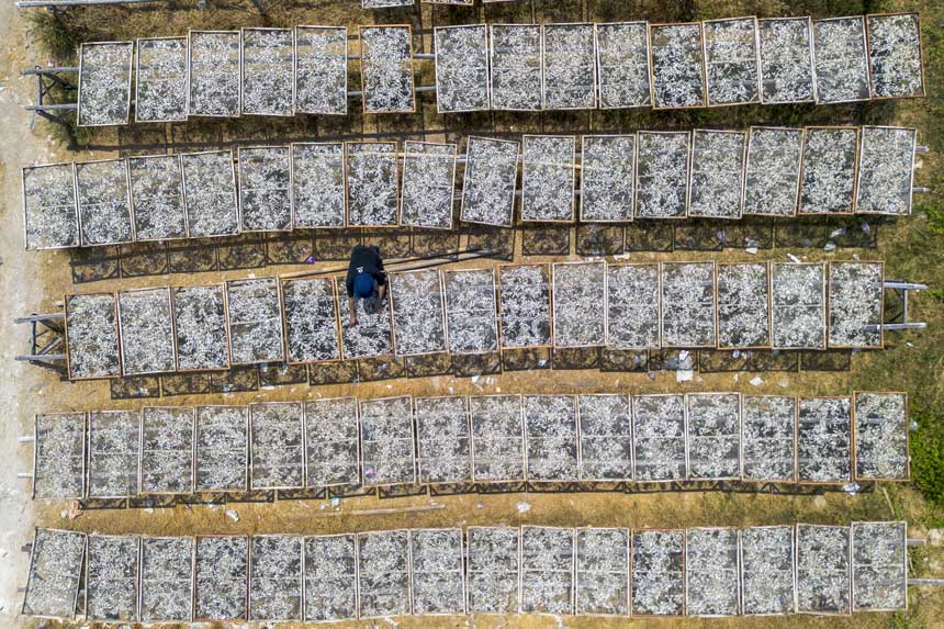 Foto: KNMP Dorong Hasil Tangkapan Nelayan Masuk Rantai Industri Global