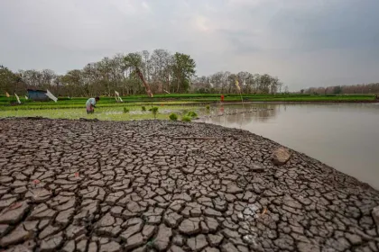 Waduk Saradan Beralih Fungsi Jadi Lahan Pertanian di Musim Kemarau