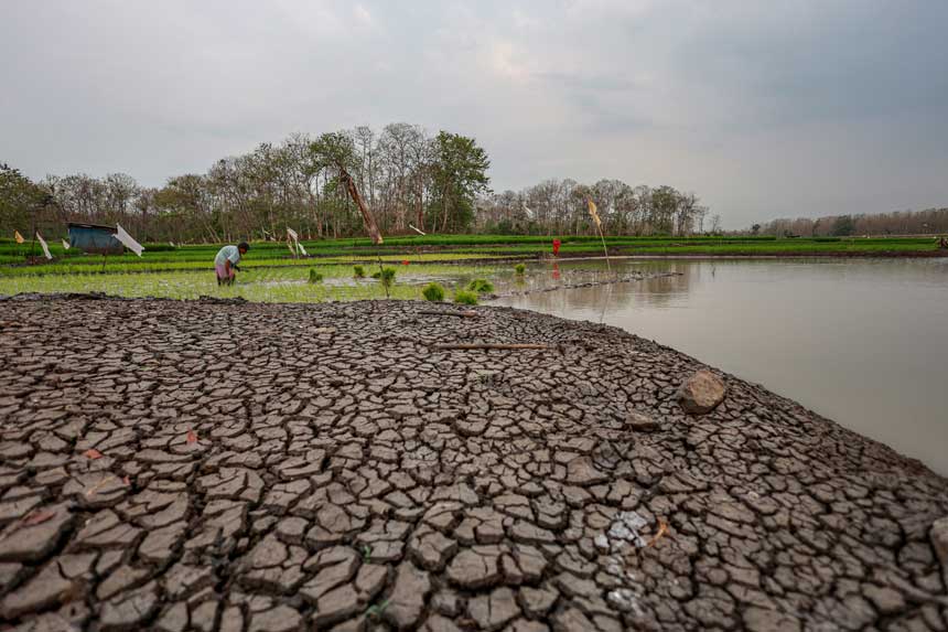 Foto: Waduk Saradan Beralih Fungsi Jadi Lahan Pertanian di Musim Kemarau