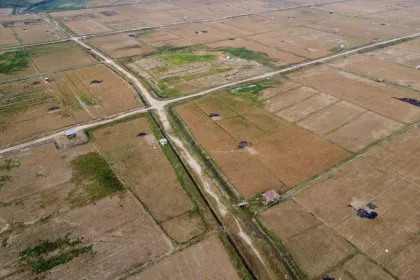 Kekeringan di Kaltim Meluas, 2.400 Hektare Lahan Pertanian Terdampak